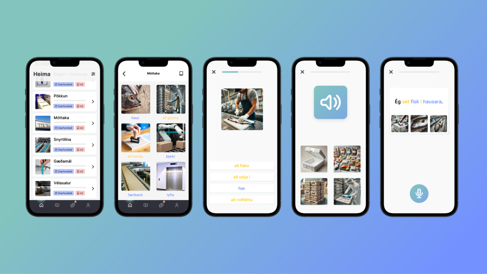 Ný nálgun í íslenskukennslu